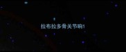 拉布拉多骨关节响