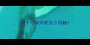 两个月幼犬吃多少奶糕