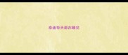 泰迪每天都在睡觉