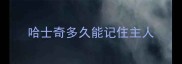 哈士奇多久能记住主人