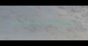猫咪踩奶行为与科学引导指南幼猫期常见问题及应对方案