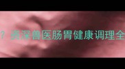 猫咪频繁放屁怎么办资深兽医肠胃健康调理全攻略附自救指南