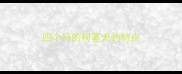 四个月的柯基犬的特点