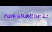 泰迪狗皮肤病都有什么