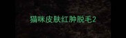 猫咪皮肤红肿脱毛