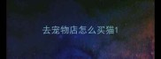 去宠物店怎么买猫