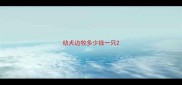 幼犬边牧多少钱一只