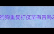 狗狗重复打疫苗有害吗