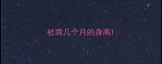 杜宾几个月的身高