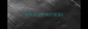 狗狗多少时候打疫苗