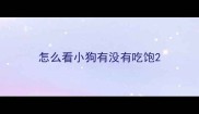 怎么看小狗有没有吃饱