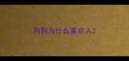狗狗为什么喜欢人