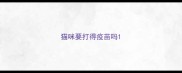 猫咪要打得疫苗吗