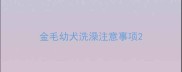 金毛幼犬洗澡注意事项