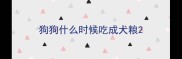 狗狗什么时候吃成犬粮
