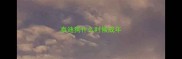 泰迪狗什么时候成年