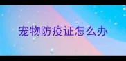 宠物防疫证怎么办