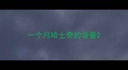 一个月哈士奇的饭量