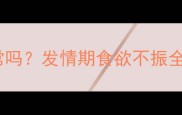 狗狗发情期不吃饭正常吗发情期食欲不振全攻略附紧急处理法