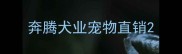 奔腾犬业宠物直销