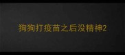 狗狗打疫苗之后没精神
