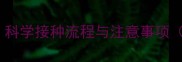 成年犬疫苗全攻略科学接种流程与注意事项附疫苗类型对比