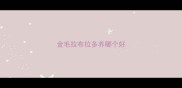 金毛拉布拉多养哪个好