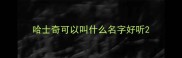 哈士奇可以叫什么名字好听