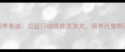广州免费领养泰迪公益行动拯救流浪犬领养代替购买爱心传递