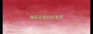 猫疫苗超时打有用