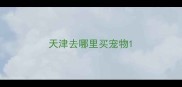天津去哪里买宠物