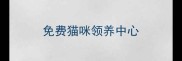 免费猫咪领养中心