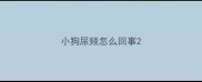 小狗尿频怎么回事