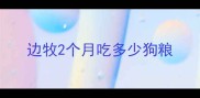 边牧2个月吃多少狗粮
