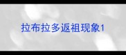 拉布拉多返祖现象