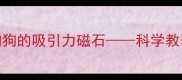 宠物狗训练如何成为狗狗的吸引力磁石科学教养指南与情感维系全攻略
