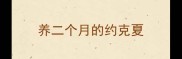 养二个月的约克夏