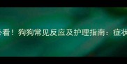 狂犬疫苗后必看狗狗常见反应及护理指南症状与科学应对