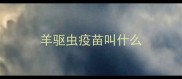 羊驱虫疫苗叫什么