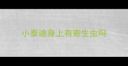 小泰迪身上有寄生虫吗