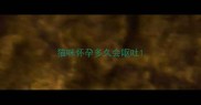 猫咪怀孕多久会呕吐