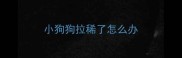 小狗狗拉稀了怎么办