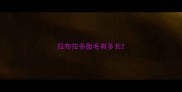 拉布拉多胎毛有多长
