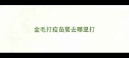 金毛打疫苗要去哪里打