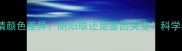 哈士奇眼睛颜色差异阴阳眼还是基因突变科学养宠指南