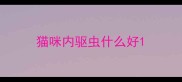 猫咪内驱虫什么好