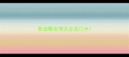 泰迪哪些情况会流口水