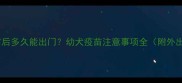 狗狗接种疫苗后多久能出门幼犬疫苗注意事项全附外出防护指南