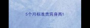 5个月标准贵宾身高