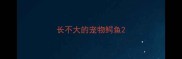 长不大的宠物鳄鱼
